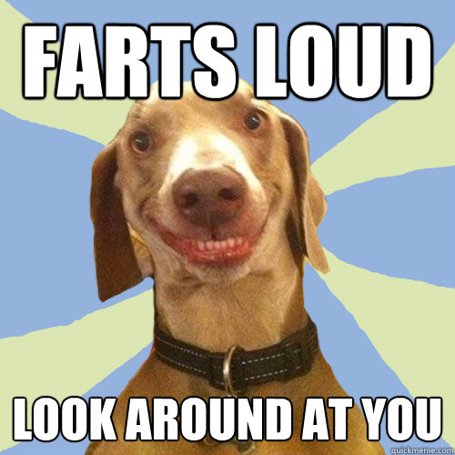 farts loud Look around at you  Disgusting Doggy
