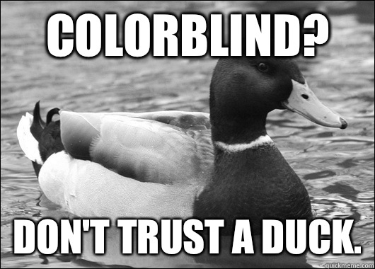 Colorblind? Don't trust a duck.  Ambiguous Advice Mallard