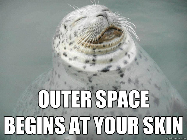 OUTER SPACE 
BEGINS AT YOUR SKIN  Zen Seal