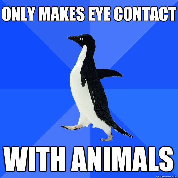 only makes eye contact with animals  Socially Awkward Penguin