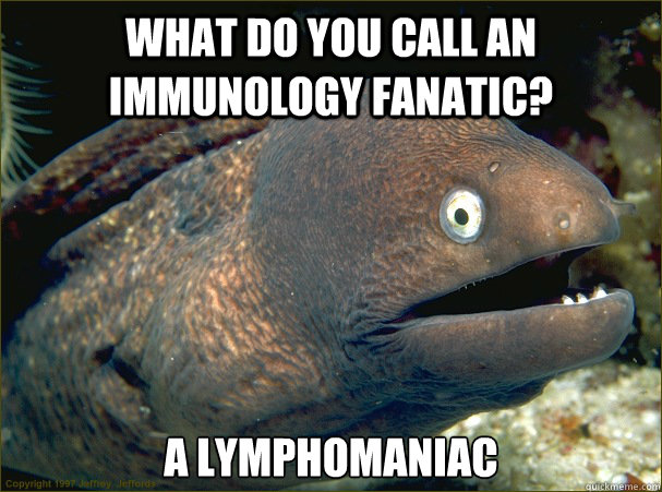 What do you call an immunology fanatic? A lymphomaniac - What do you call an immunology fanatic? A lymphomaniac  Bad Joke Eel