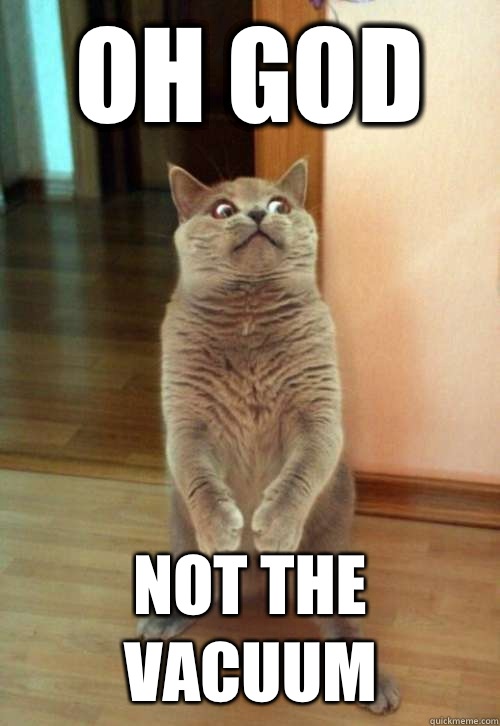 Oh God Not the vacuum  Horrorcat
