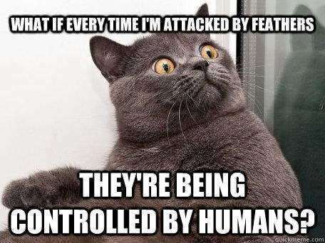 what if every time i'm attacked by feathers they're being controlled by humans? - what if every time i'm attacked by feathers they're being controlled by humans?  conspiracy cat