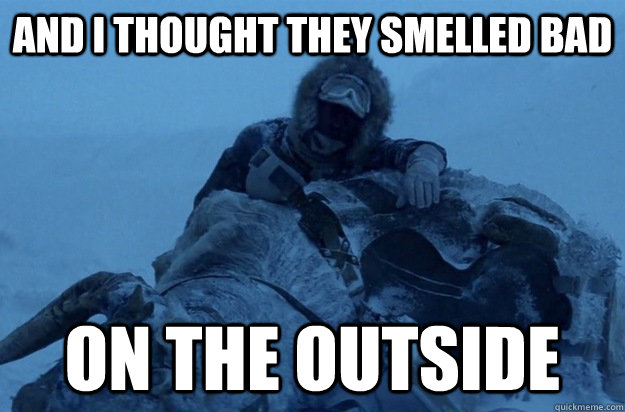 And I thought they smelled bad on the outside - And I thought they smelled bad on the outside  Halo Solo Disgust