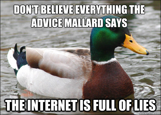 Don't believe everything the advice mallard says The internet is full of lies  Actual Advice Mallard
