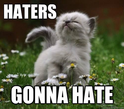 HATERS GONNA HATE  - HATERS GONNA HATE   Kitteh