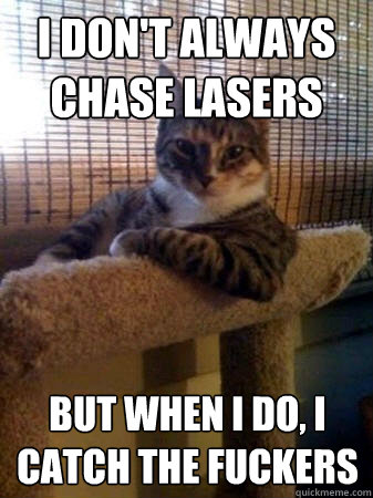 I don't always chase lasers but when I do, I catch the fuckers  The Most Interesting Cat in the World