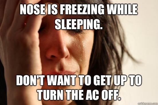 Nose is freezing while sleeping.  Don't want to get up to turn the AC off.  First World Problems