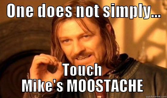   ONE DOES NOT SIMPLY...   TOUCH MIKE'S MOOSTACHE Boromir