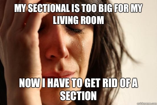 My sectional is too big for my living room Now I have to get rid of a section  First World Problems