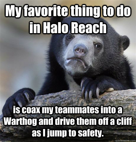 My favorite thing to do in Halo Reach is coax my teammates into a Warthog and drive them off a cliff as I jump to safety.  Confession Bear