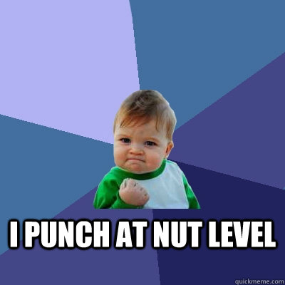 I PUNCH AT NUT LEVEL - I PUNCH AT NUT LEVEL  Success Kid