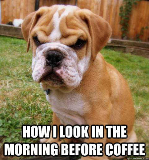  HOW I LOOK IN THE MORNING BEFORE COFFEE -  HOW I LOOK IN THE MORNING BEFORE COFFEE  COFFEE DOG