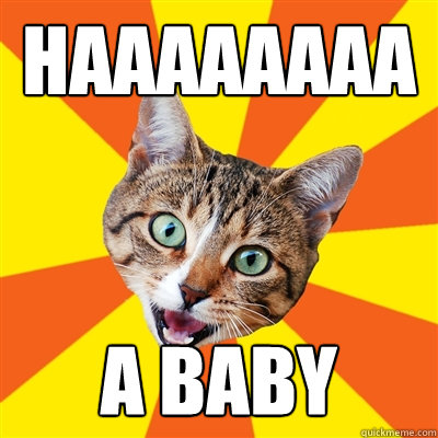 haaaaaaaa A Baby - haaaaaaaa A Baby  Bad Advice Cat