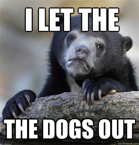  i let the 
 the dogs out -  i let the 
 the dogs out  confessionbear