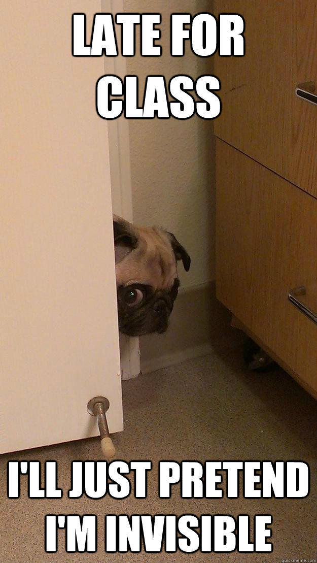 Late for class  I'll just pretend i'm invisible  Late for Class Pug