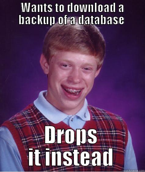  WANTS TO DOWNLOAD A BACKUP OF A DATABASE DROPS IT INSTEAD Bad Luck Brian