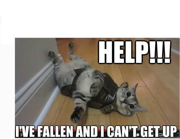 HELP!!! I'VE FALLEN AND I CAN'T GET UP - HELP!!! I'VE FALLEN AND I CAN'T GET UP  Nylah Kitty Ive Fallen and cant get up