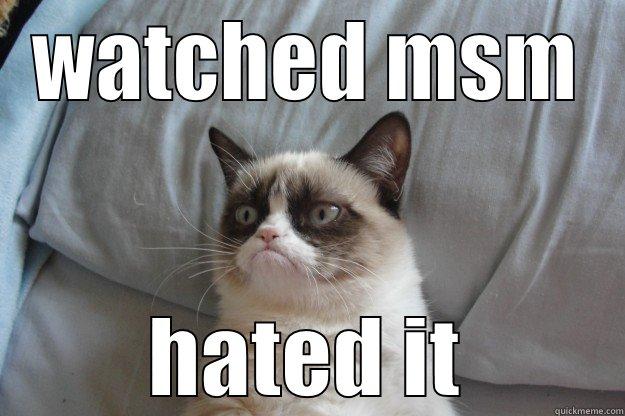 watched msm hated it - WATCHED MSM HATED IT Grumpy Cat