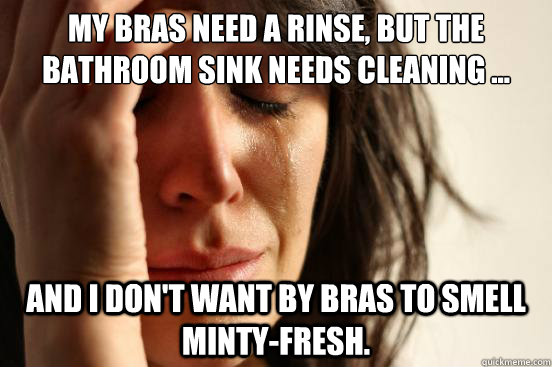 My bras need a rinse, but the bathroom sink needs cleaning ... And i don't want by bras to smell minty-fresh.  First World Problems