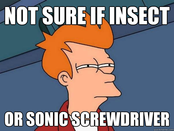 Not sure if Insect Or Sonic Screwdriver  Futurama Fry