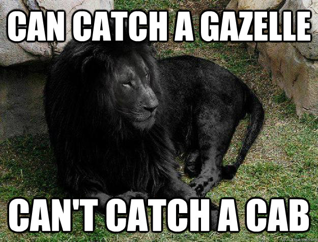 can catch a gazelle can't catch a cab - can catch a gazelle can't catch a cab  Misc