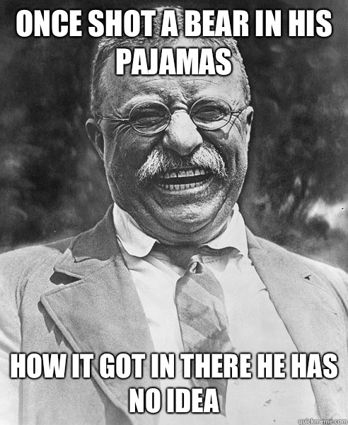 Once shot a bear in his pajamas How it got in there he has no idea  Teddy Roosevelt Troll