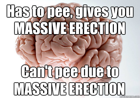 Has to pee, gives you  Can't pee due to MASSIVE ERECTION MASSIVE ERECTION  Scumbag Brain