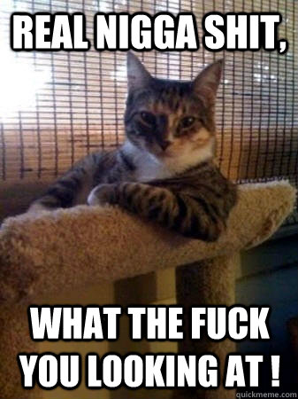 real nigga shit,  what the fuck you looking at !  The Most Interesting Cat in the World