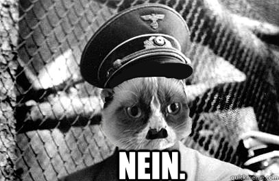  Nein. -  Nein.  Grumpy Hitler Cat