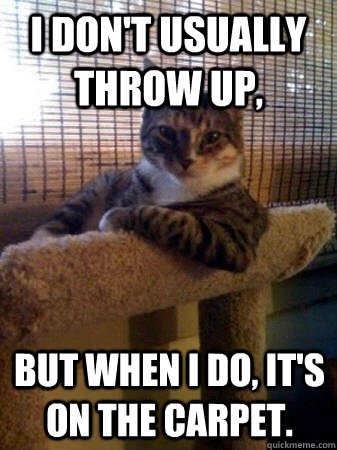 I don't usually throw up, but when I do, it's on the carpet.  The Most Interesting Cat in the World