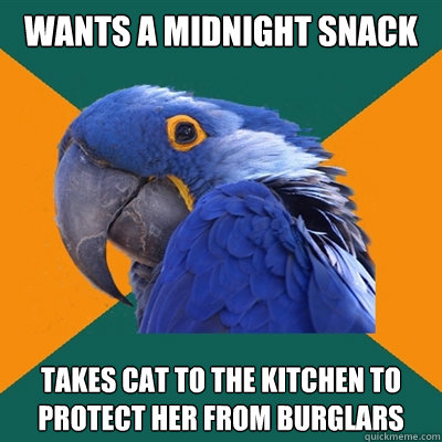 wants a midnight snack Takes cat to the kitchen to protect her from burglars  Paranoid Parrot