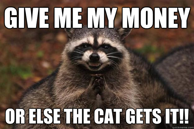 give me my money or else the cat gets it!!   Evil Plotting Raccoon