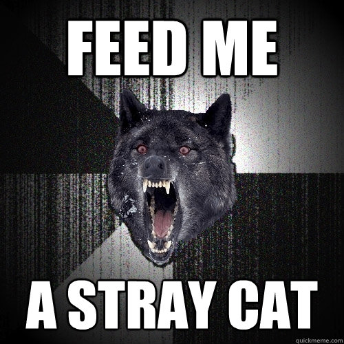 Feed Me A Stray Cat  Insanity Wolf
