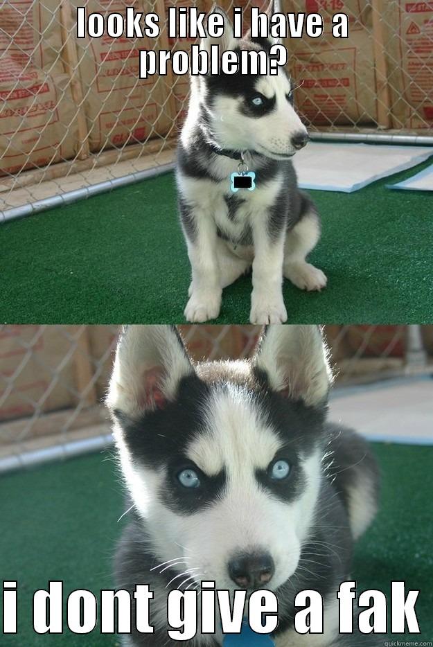 LOOKS LIKE I HAVE A PROBLEM?  I DONT GIVE A FAK Insanity puppy