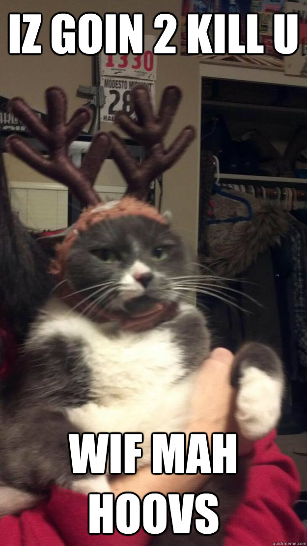 iz goin 2 kill u wif mah hoovs  reindeer cat