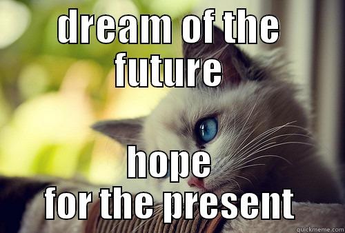 DREAM OF THE FUTURE HOPE FOR THE PRESENT First World Problems Cat