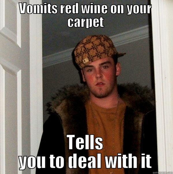 VOMITS RED WINE ON YOUR CARPET TELLS YOU TO DEAL WITH IT Scumbag Steve