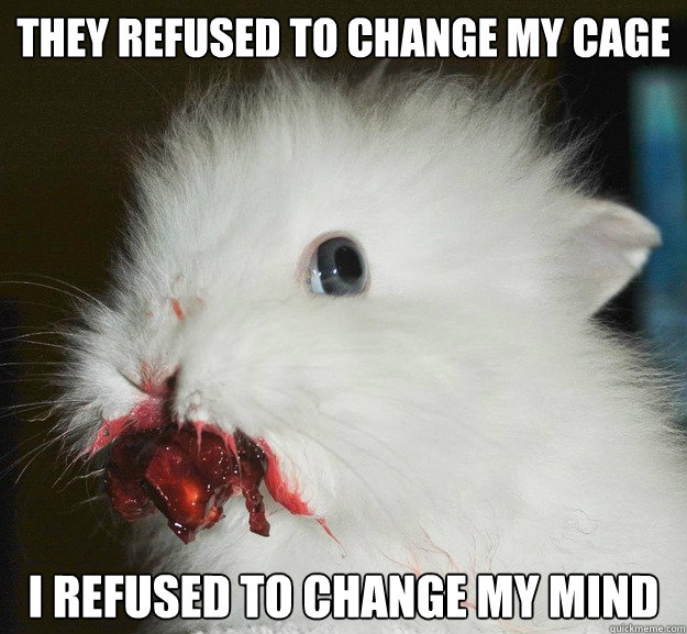 they refused to change my cage i refused to change my mind - they refused to change my cage i refused to change my mind  rage rabbit