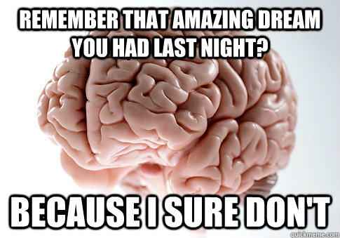 remember that amazing dream you had last night? because i sure don't - remember that amazing dream you had last night? because i sure don't  Scumbag Brain