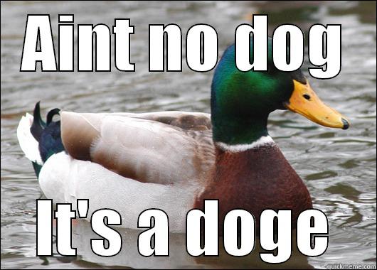 AINT NO DOG IT'S A DOGE Actual Advice Mallard