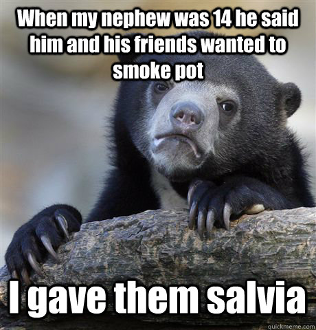 When my nephew was 14 he said him and his friends wanted to smoke pot I gave them salvia - When my nephew was 14 he said him and his friends wanted to smoke pot I gave them salvia  Confession Bear