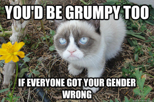 you'd be grumpy too if everyone got your gender wrong - you'd be grumpy too if everyone got your gender wrong  gRUMPY CAT FLOWER