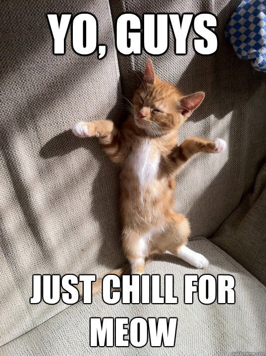 Yo, guys Just chill for meow  