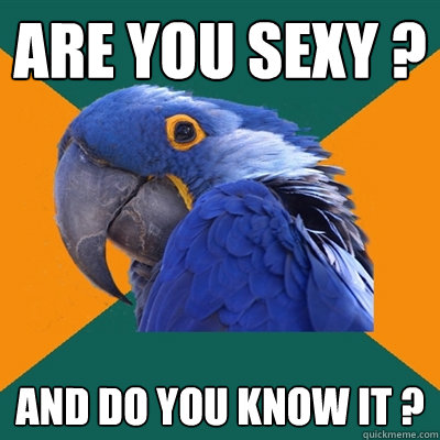 Are you sexy ? And do you know it ?  Paranoid Parrot