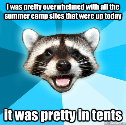 I was pretty overwhelmed with all the summer camp sites that were up today it was pretty in tents   Lame Pun Coon