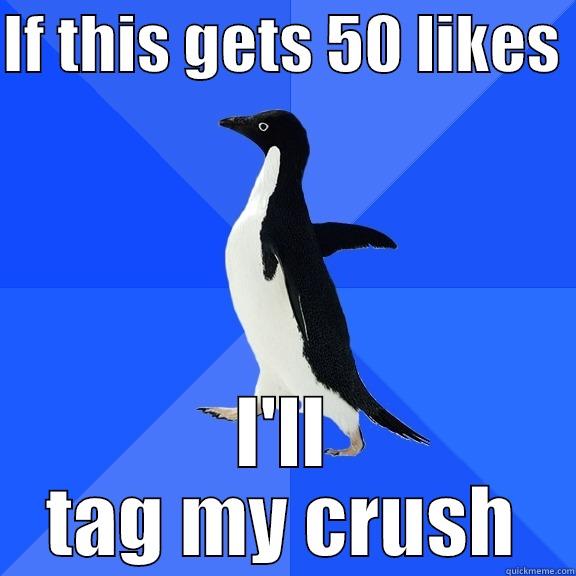 IF THIS GETS 50 LIKES  I'LL TAG MY CRUSH Socially Awkward Penguin