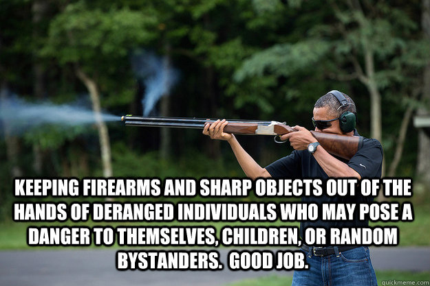  Keeping firearms and sharp objects out of the hands of deranged individuals who may pose a danger to themselves, children, or random bystanders.  Good job.  Obamas Got A Gun