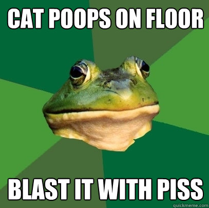 Cat poops on floor Blast it with piss  Foul Bachelor Frog