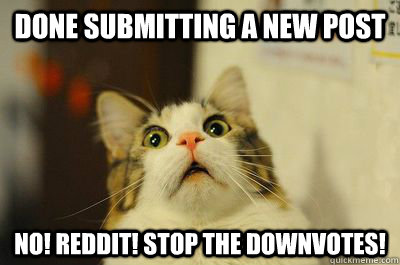 done submitting a new post NO! REDDIT! STOP THE DOWNVOTES!  Horrified cat